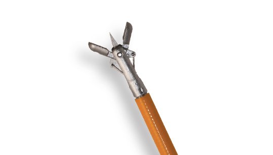 Disposable Biopsy Forceps - Sheathed